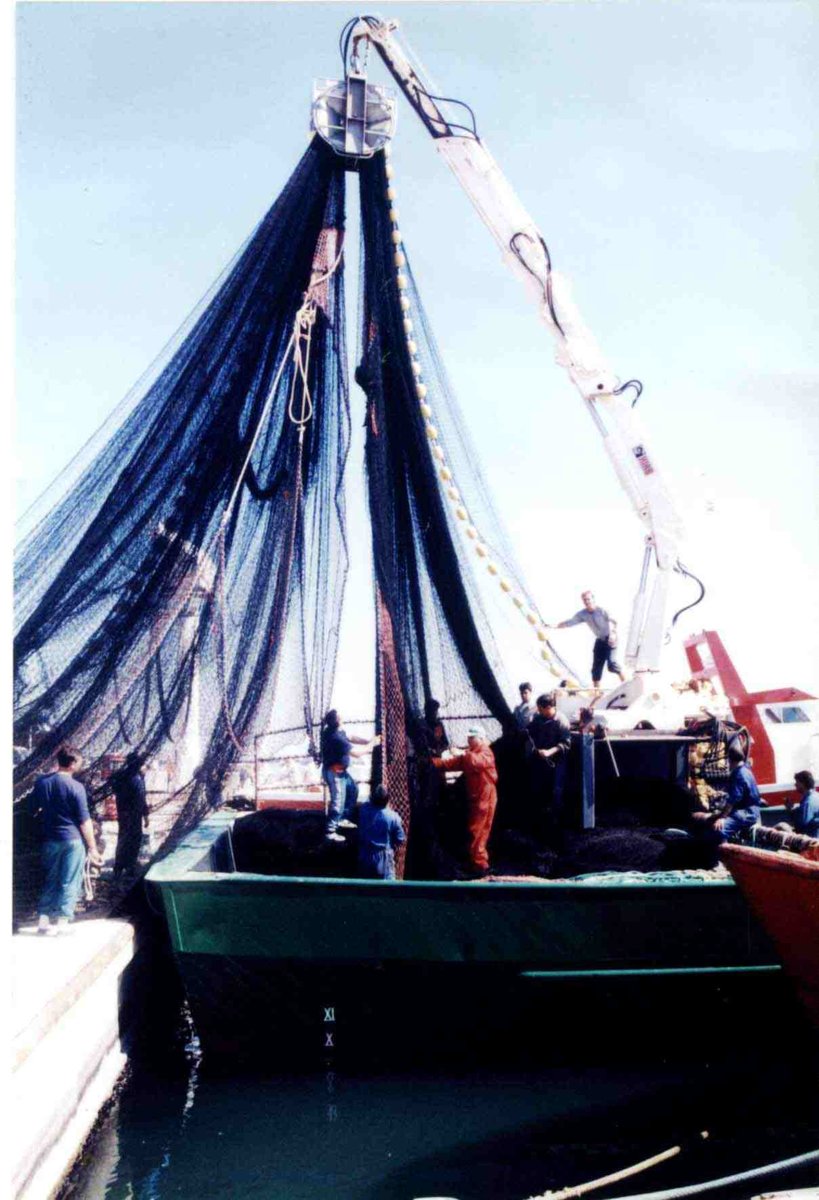 Imagen de Capitol 5 - 1990